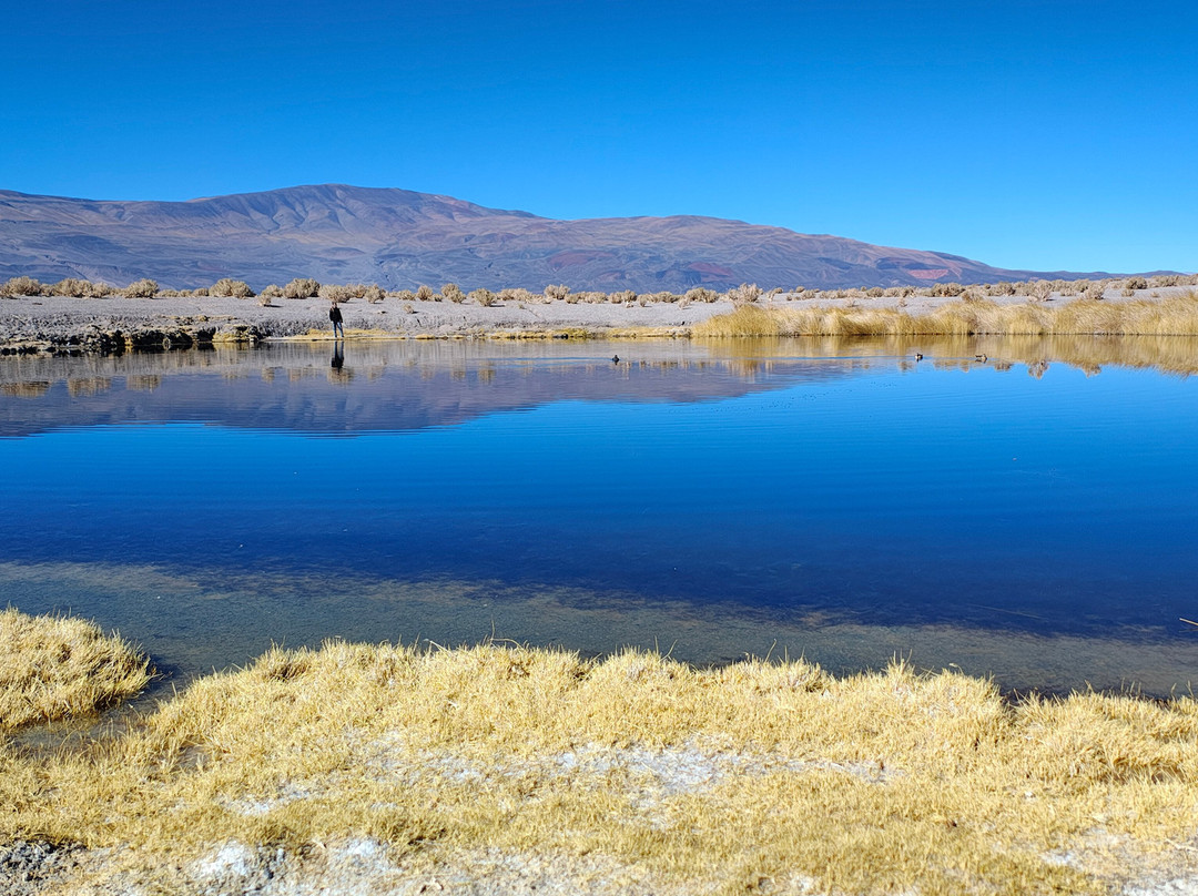Salar De Antofalla景点图片