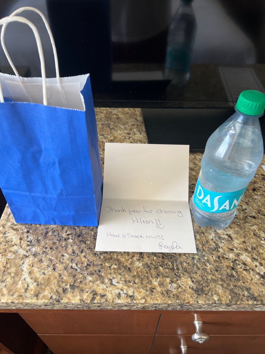 Hilton Knoxville-客卧