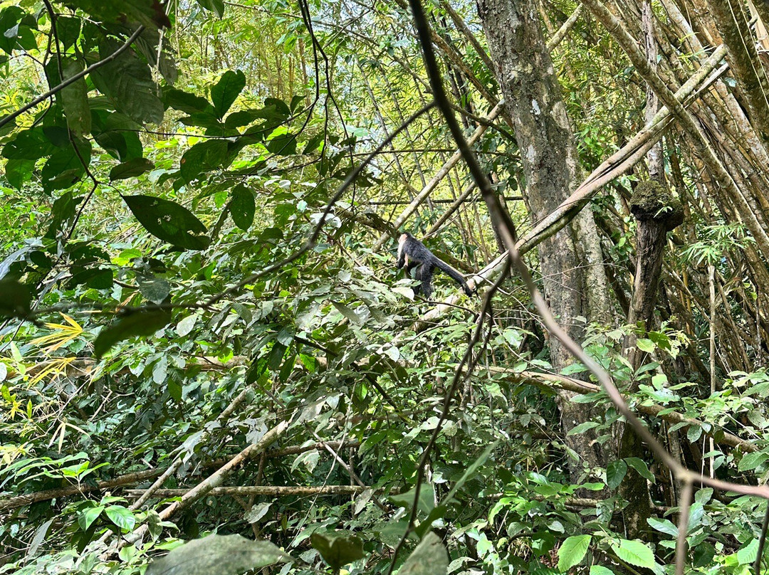 Kokopelli Wildlife Tours景点图片