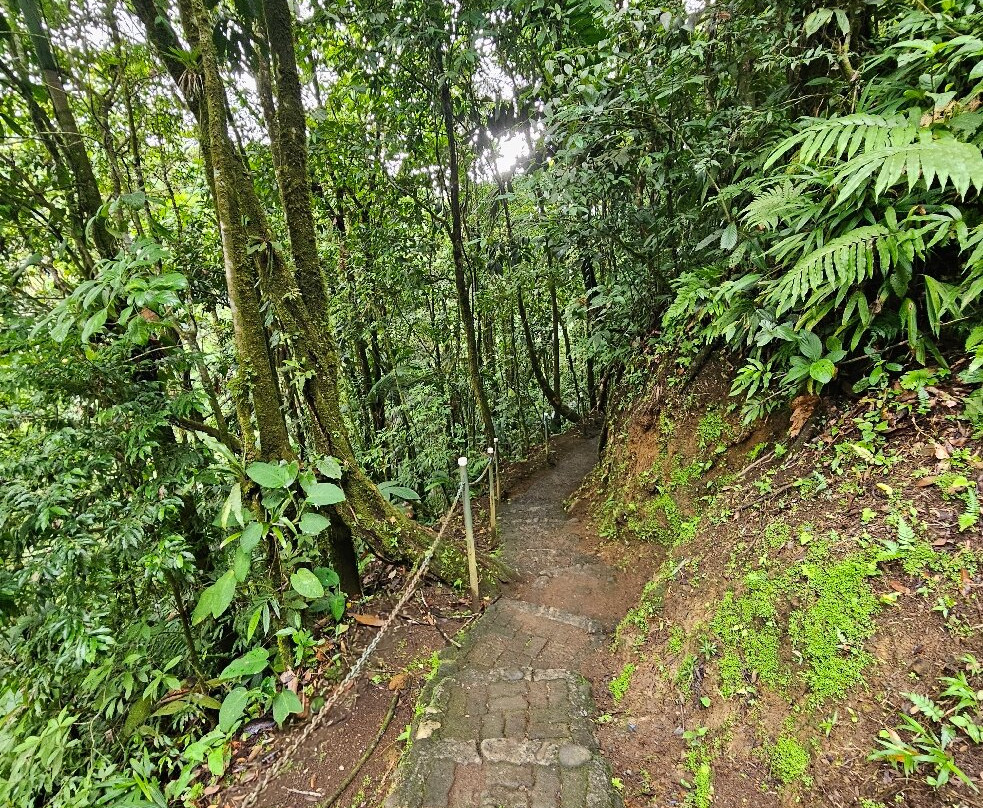 Best of Costa Rica DMC景点图片