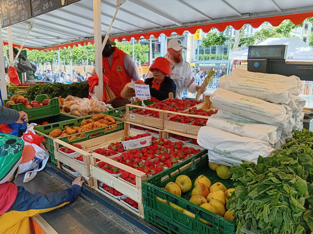 Bauernmarkt Konstablerwache-法兰克福必去景点