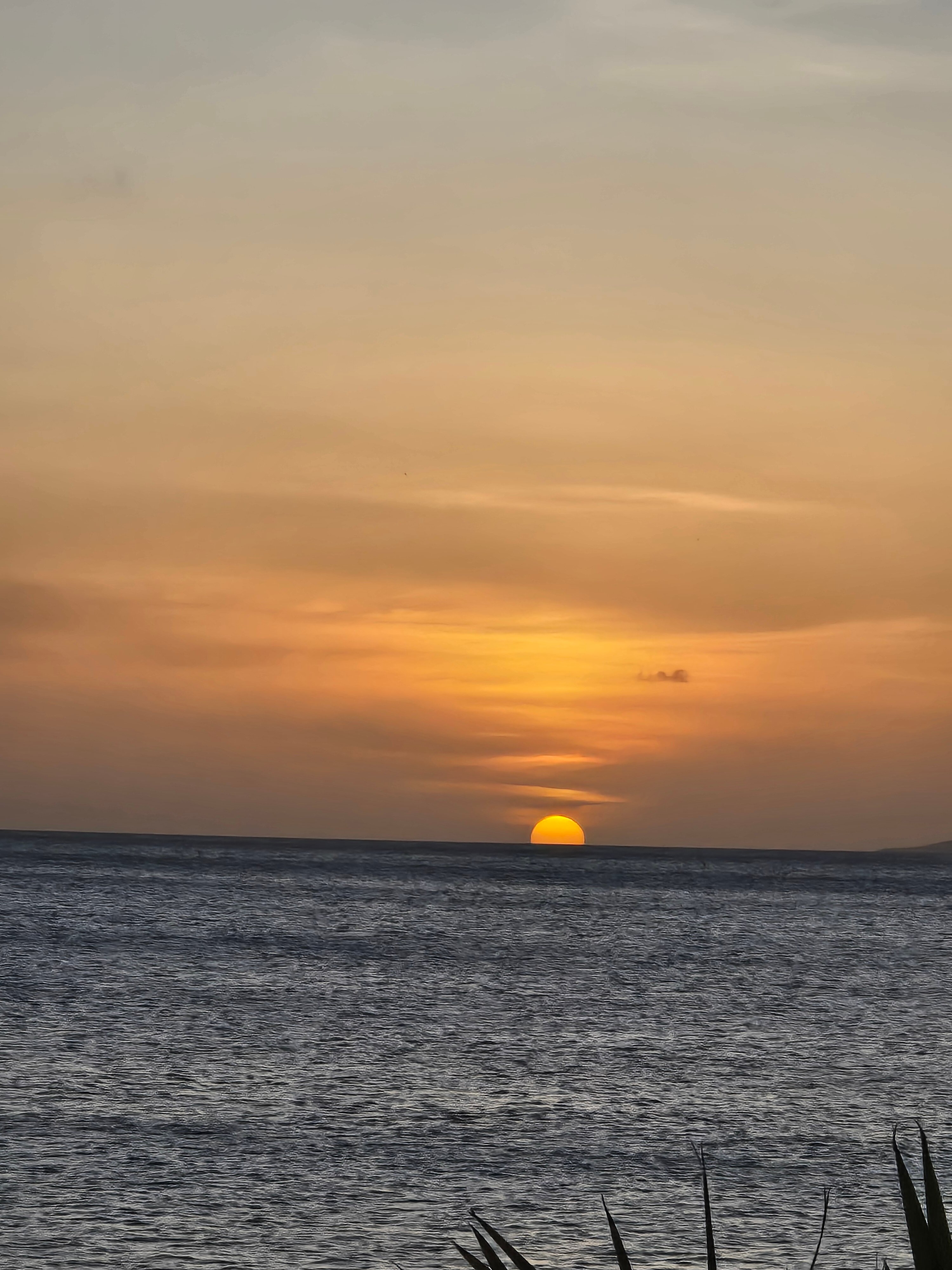 Chogogo Dive & Beach Resort Bonaire-浴室