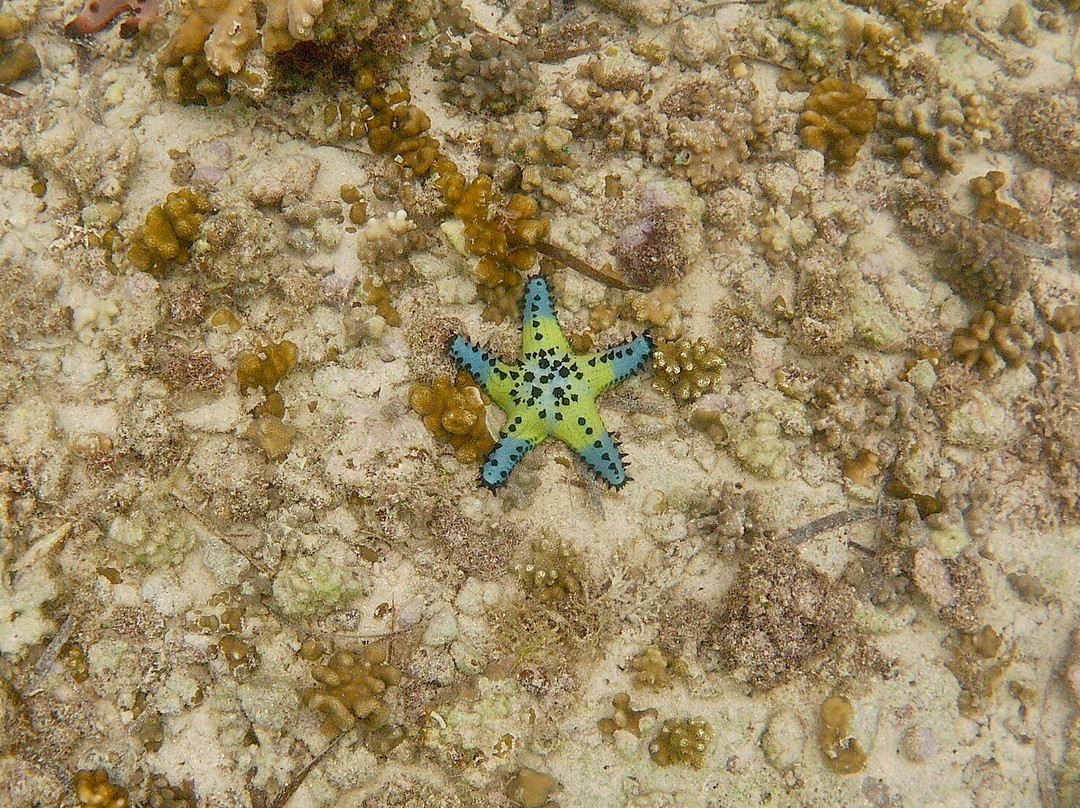 San Vicente Marine Sanctuary景点图片