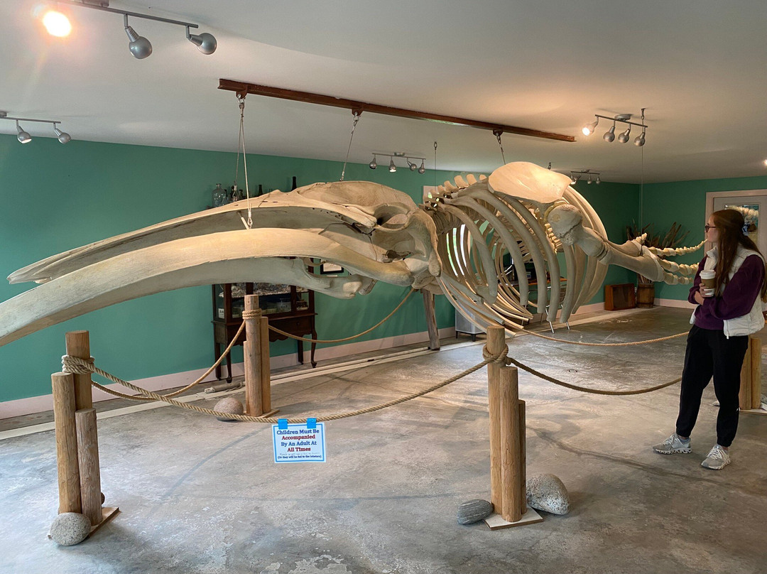 Oceanarium And Education Center-巴港必去景点