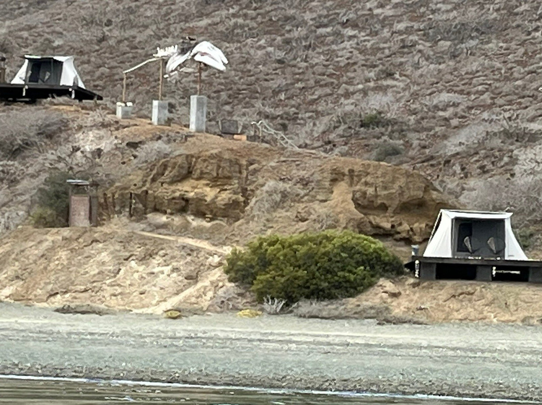Magdalena Bay Whales-Puerto San Carlos必去景点