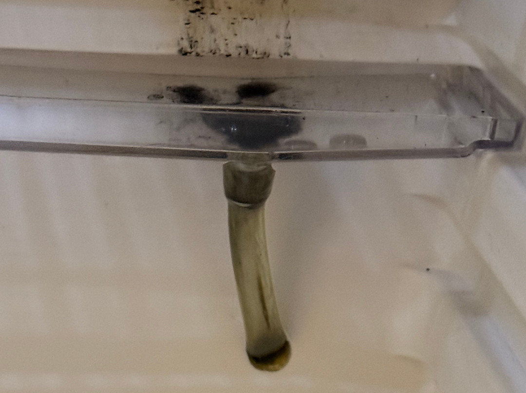 Fiesta Americana Hermosillo主图