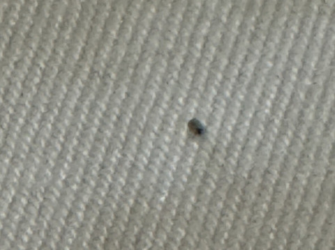 斯特拉酒店和舞厅主图