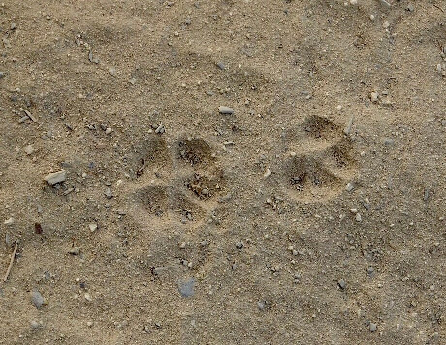 Donana Nature-El Rocio必去景点