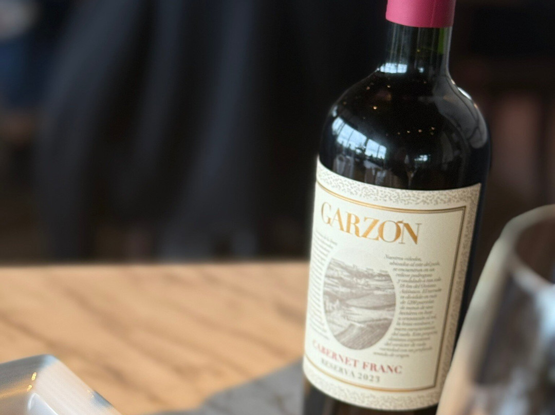 Bodega Garzon-Garzon必去景点