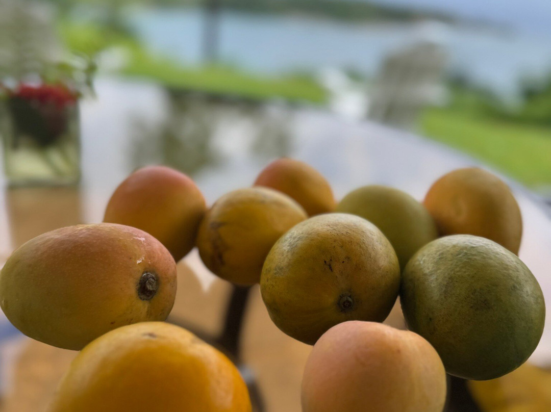 Goblin Hill Villas at San San主图