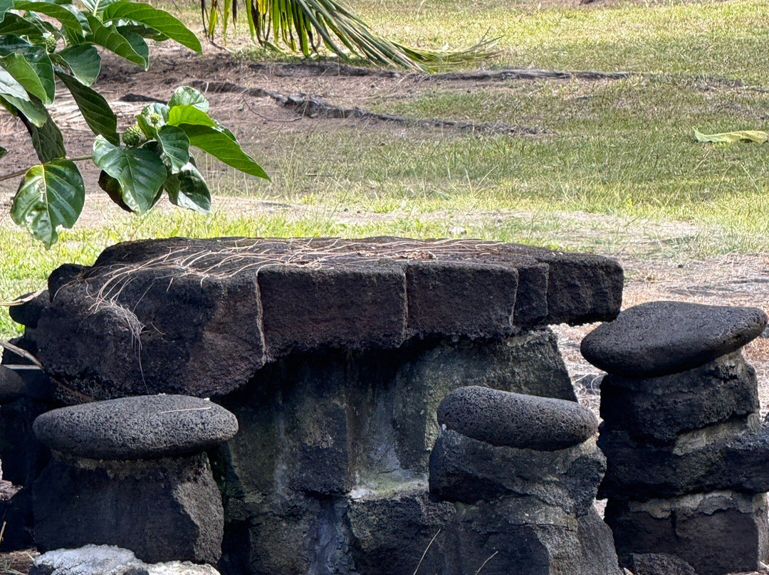 MacKenzie State Park-夏威夷大岛必去景点