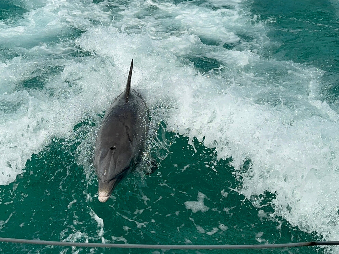 Kenard Cruises-普罗维登西亚莱斯必去景点