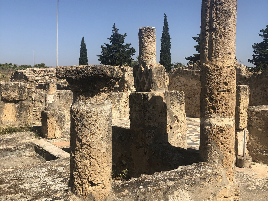 Utica-比塞大必去景点