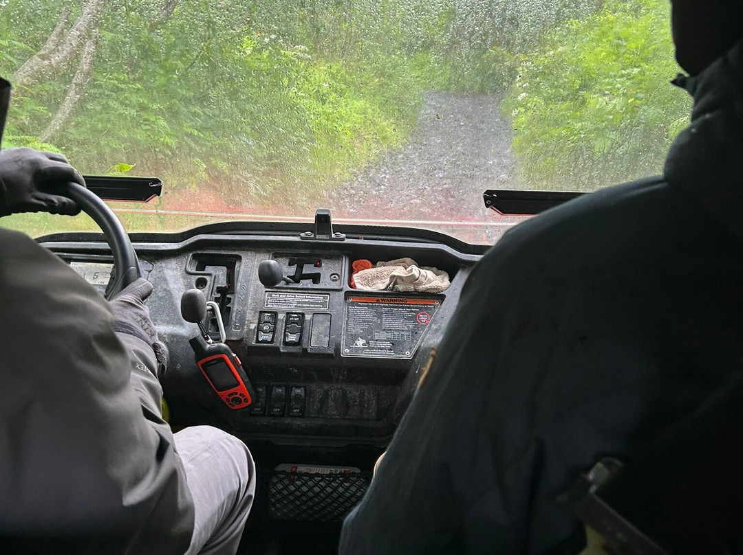 Head Shakers Kodiak-Kodiak必去景点