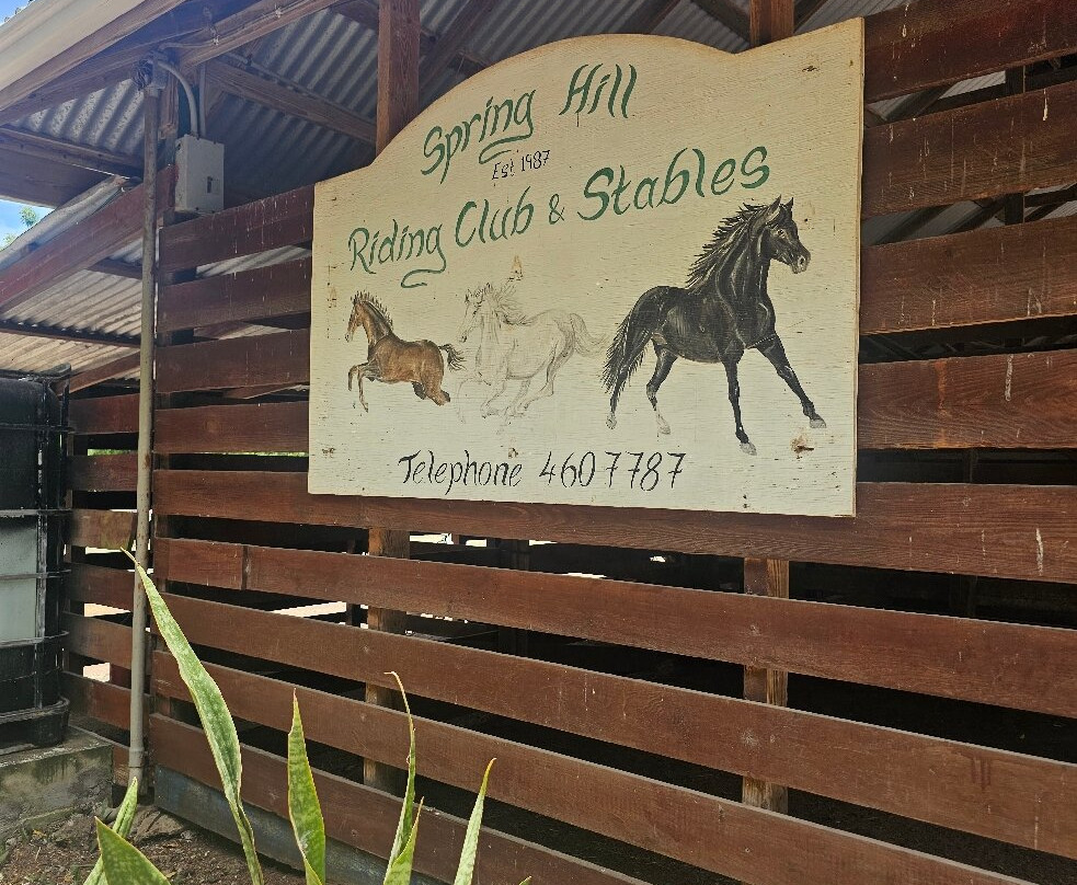 Antigua Equestrian Centre-Saint Paul Parish必去景点