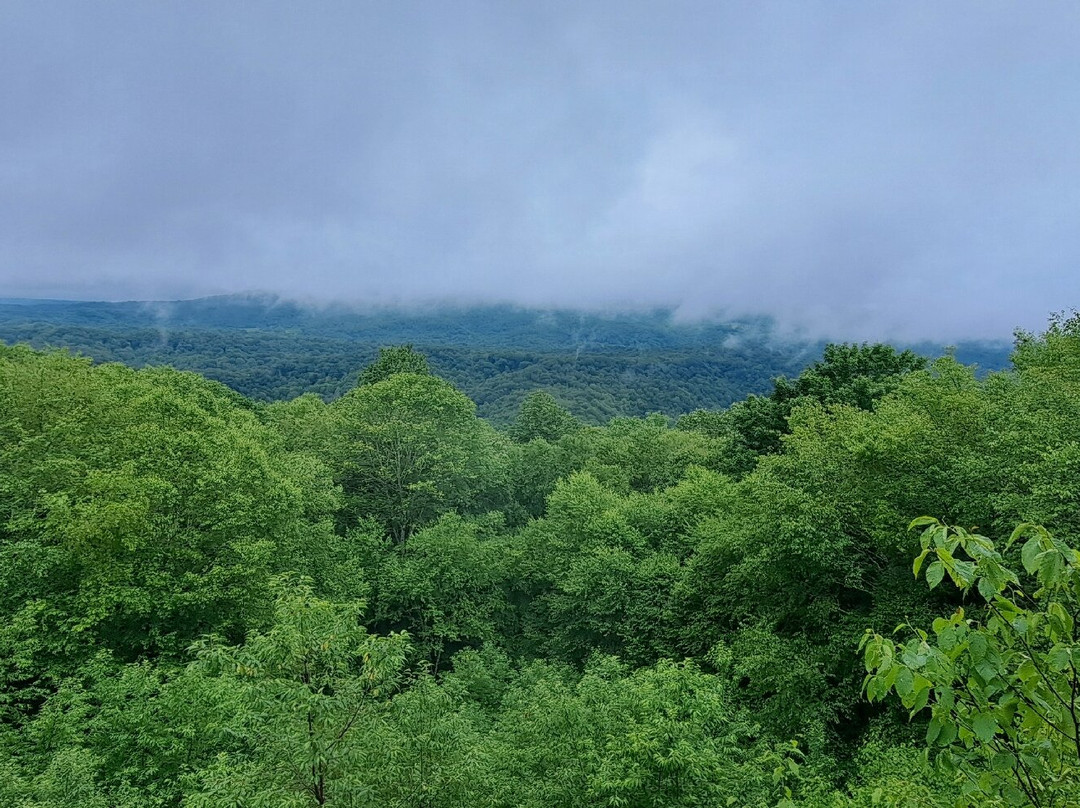 Droop Mountain Battlefield State Park-Hillsboro必去景点