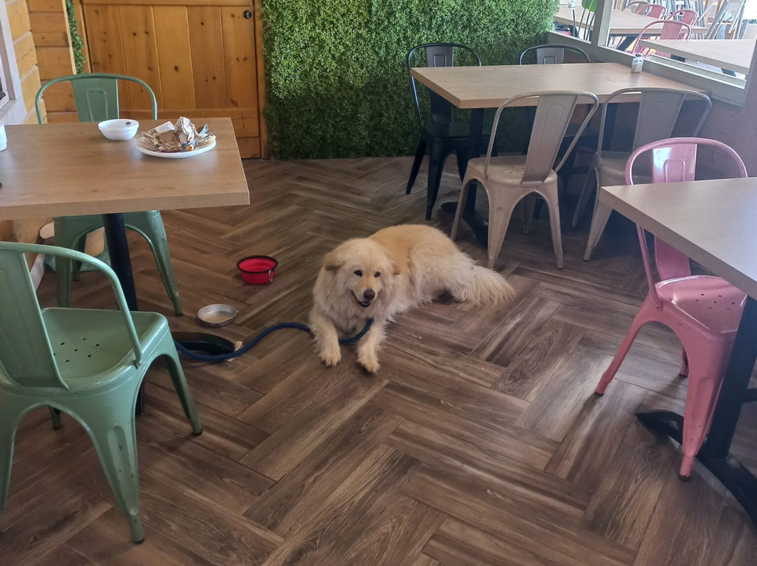 The Village - Jordan Riverside TravelHotel主图