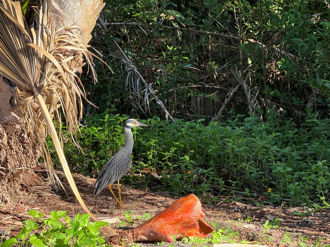 Four Mile Cove Ecological Preserve-开普科勒尔必去景点