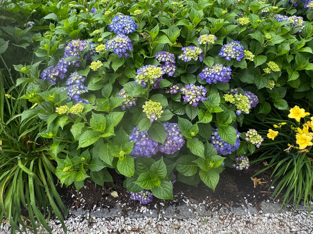 Heritage Museums & Gardens-桑威奇必去景点
