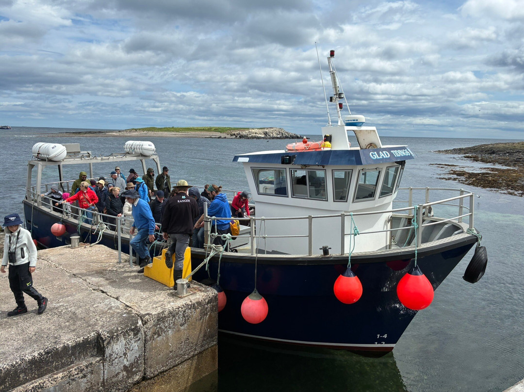 Farne Islands-诺桑伯兰郡必去景点