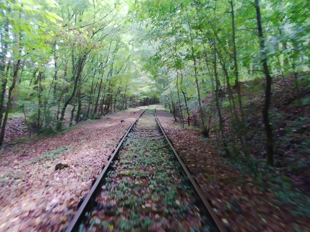 Cyclo rail 37-Chateau-la-Valliere必去景点