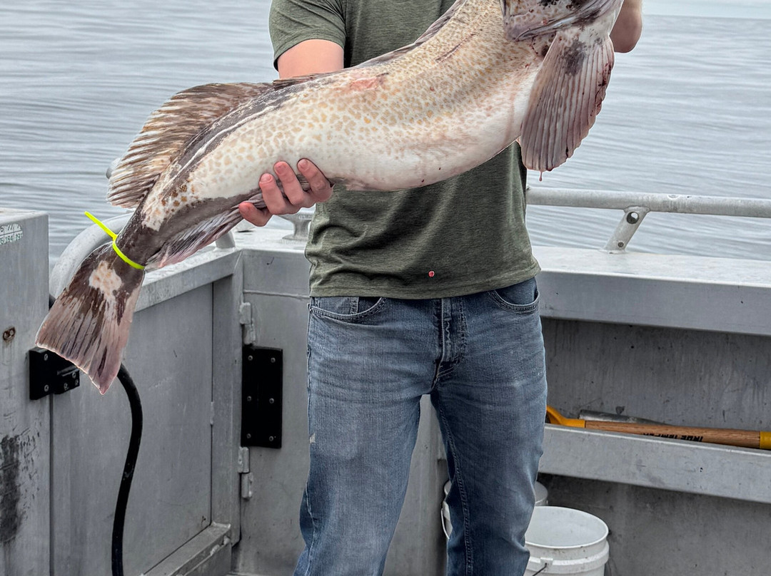 Alaskan Fishing Adventures-索尔多特纳必去景点