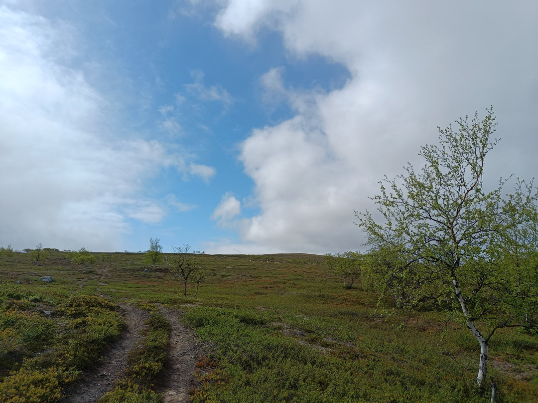 Travel Utsjoki-Utsjoki必去景点