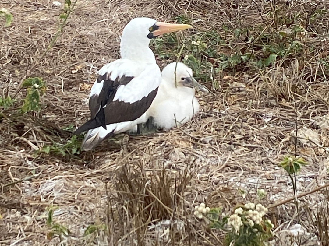 Machalilla Tours-Puerto Lopez必去景点