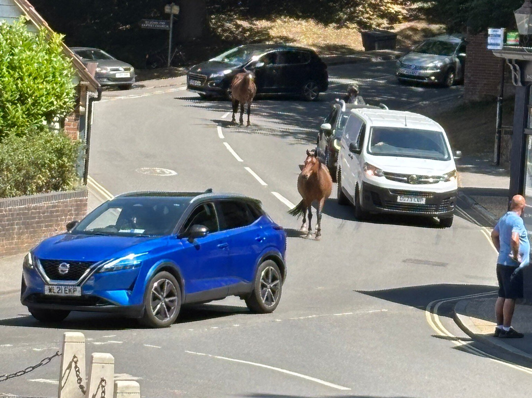 The Burley Inn Hotel主图