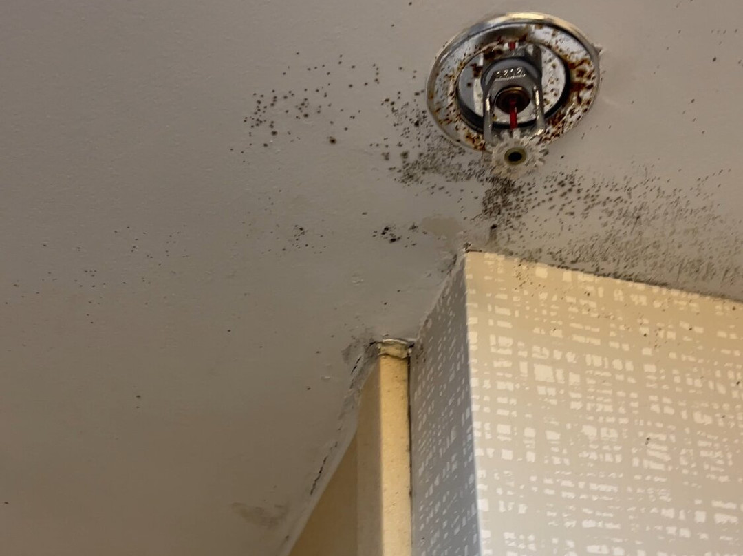 Hampton Inn & Suites Adairsville-Calhoun Area主图