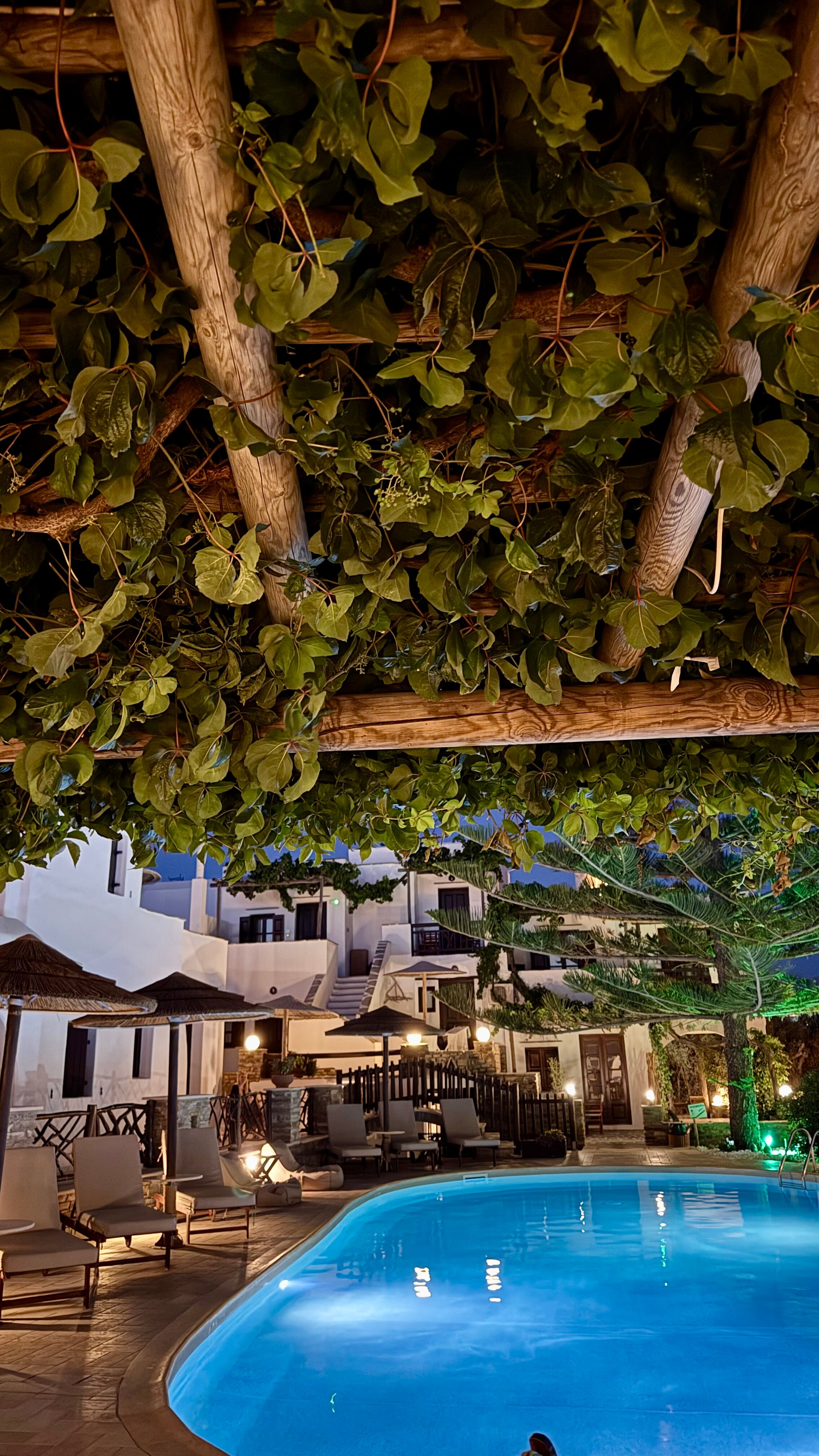 Anemomilos Hotel Naxos-官方