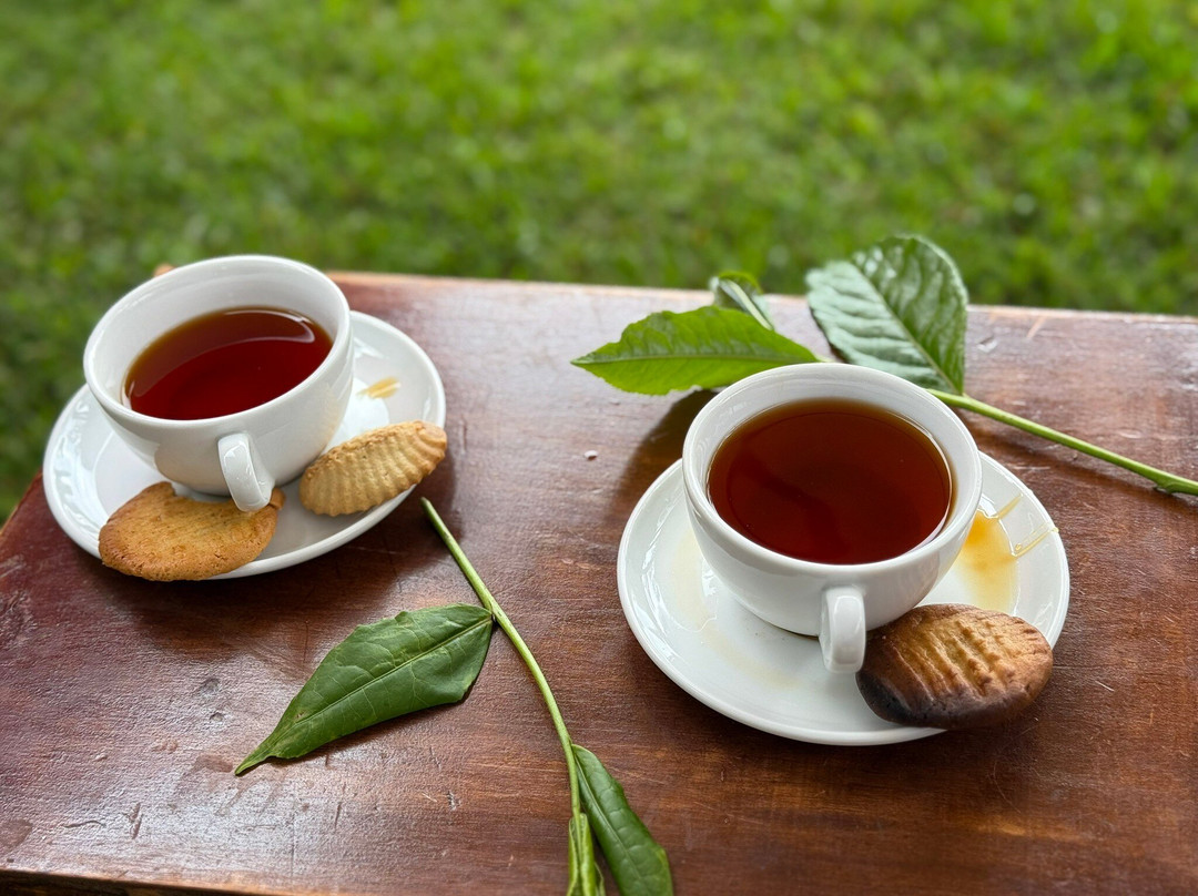 Michoore Tours & Travel-内罗毕必去景点