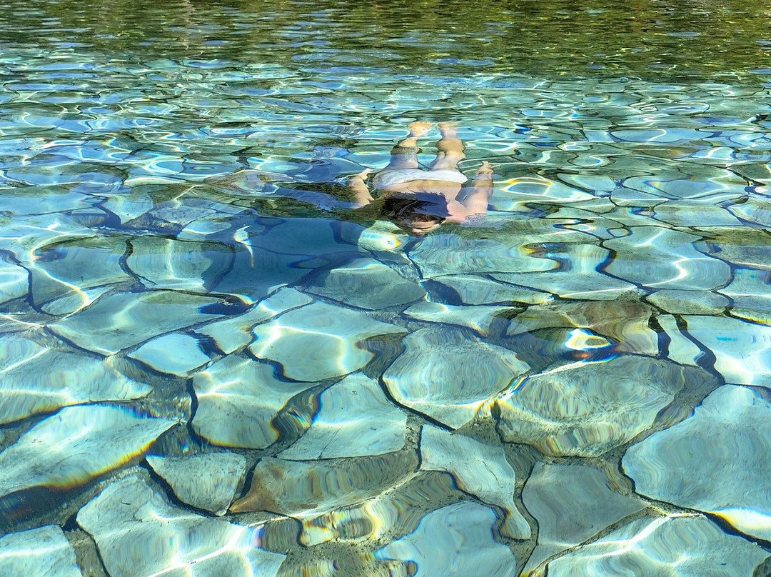 巴西利亚国家公园 (Agua Mineral)-巴西利亚必去景点