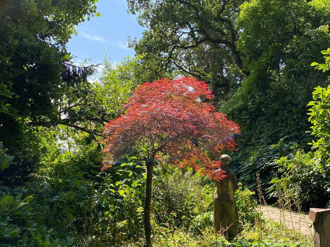 Burrow Farm Gardens-Dalwood必去景点