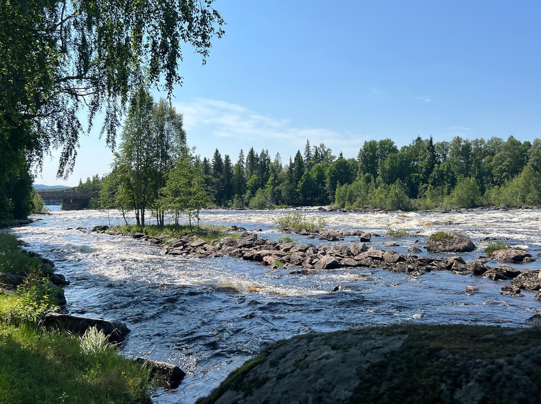 Upplev Järvsö-Jarvso必去景点