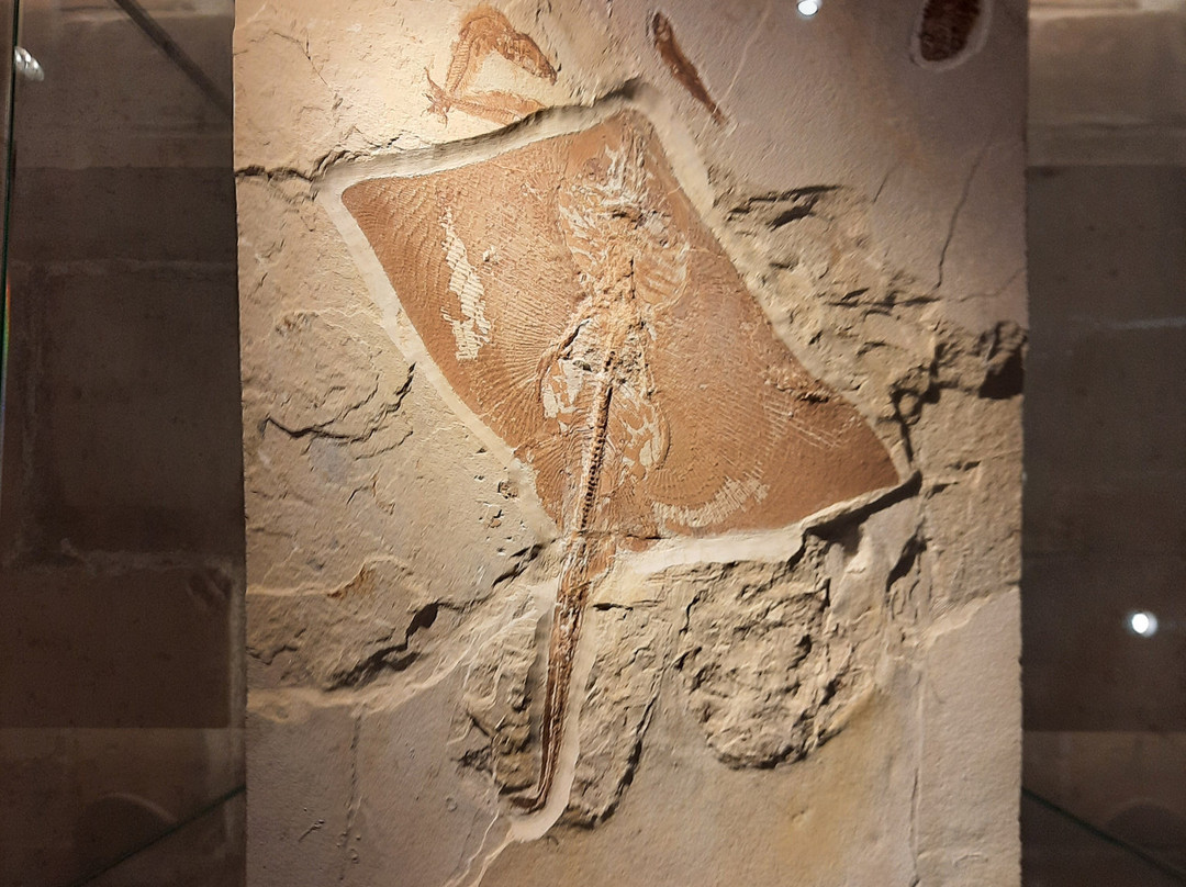 Memory of Time-朱拜勒必去景点