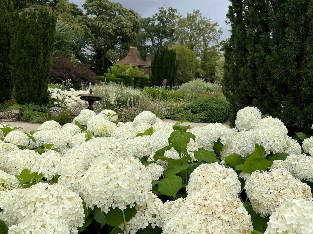 Loseley Park-吉尔福德必去景点