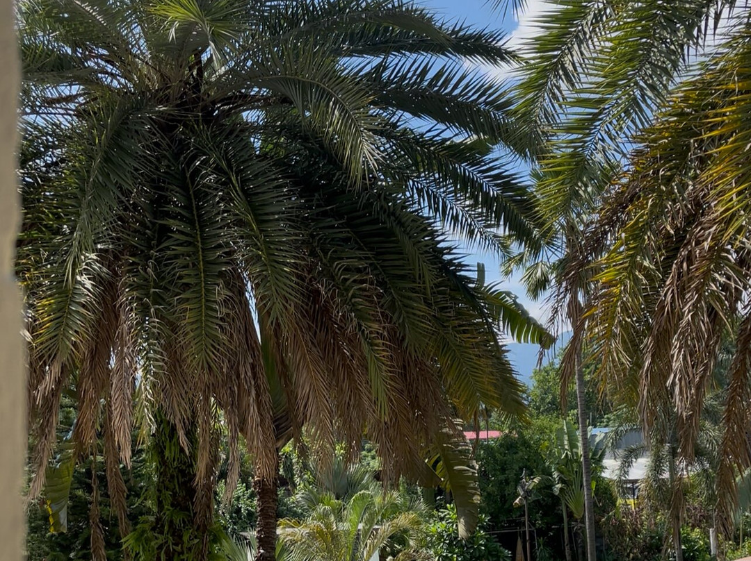 Siddhartha Hotel Narayanghat主图