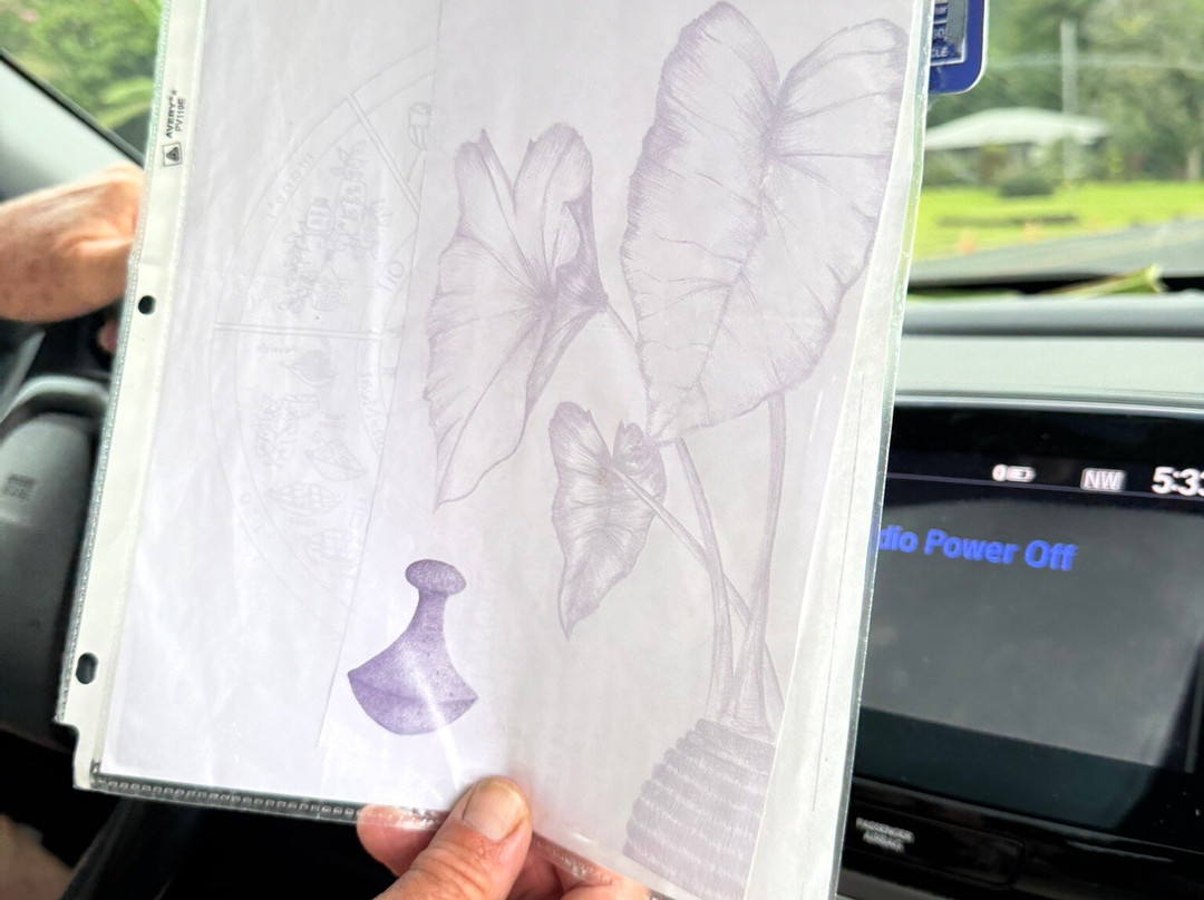 Open Eye Tours & Photos-毛伊岛必去景点