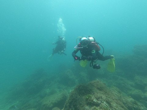 Life & Dive-Playas del Coco必去景点