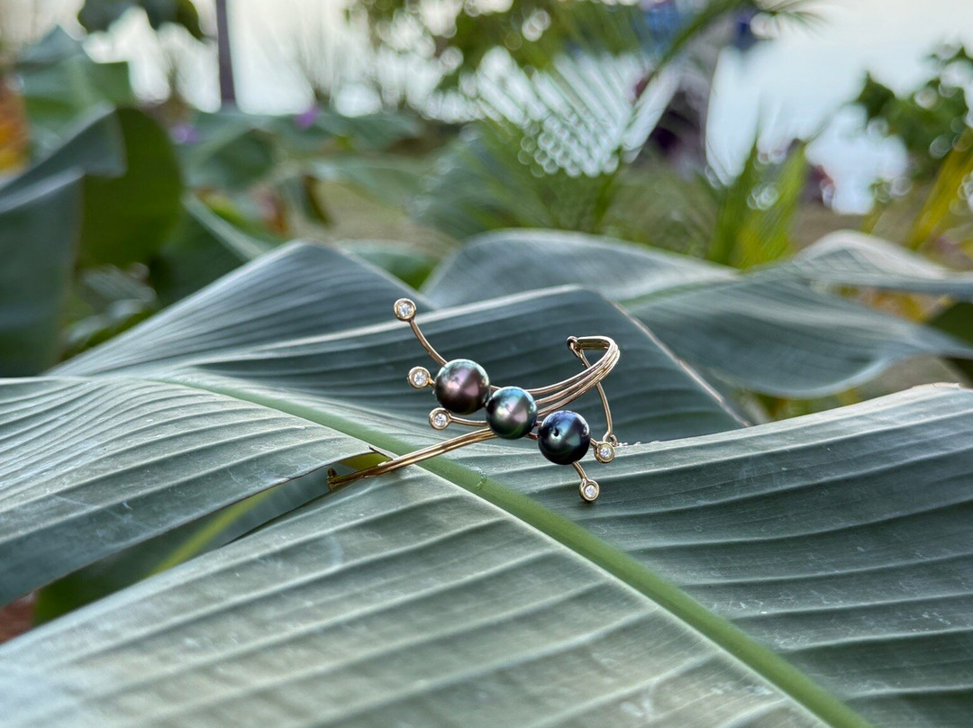 Pearl Romance-莫雷阿岛必去景点