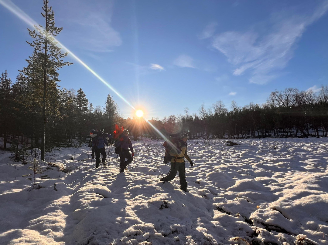 Norwegian Polar Academy-霍宁斯沃格必去景点