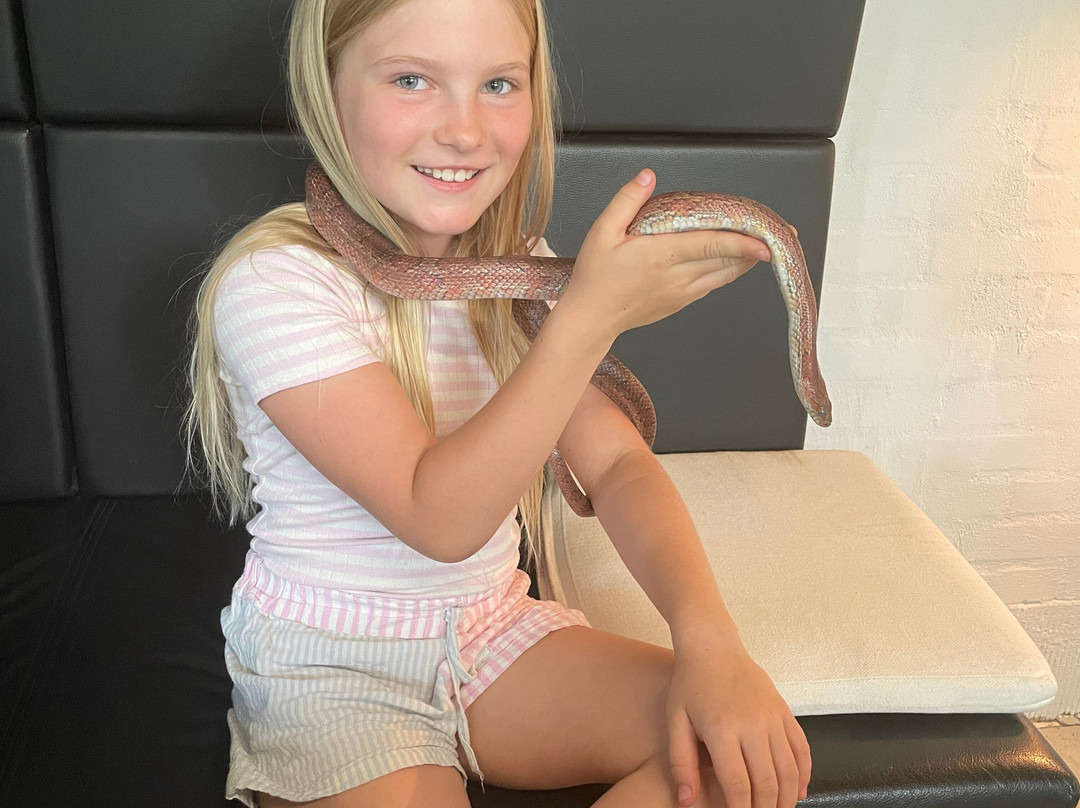 Dyrenes Verden Filskov Mini Zoo i Billund-格林斯泰兹必去景点