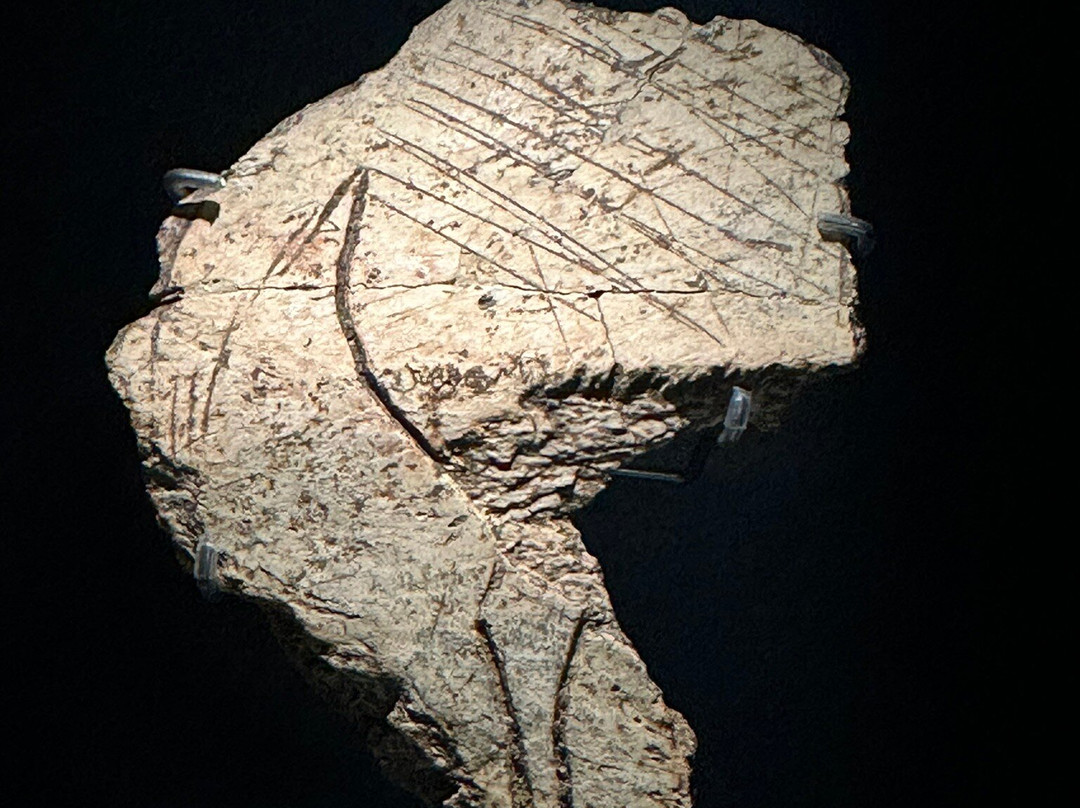 Prehistory and Archaeology Museum of Cantabria-桑坦德必去景点