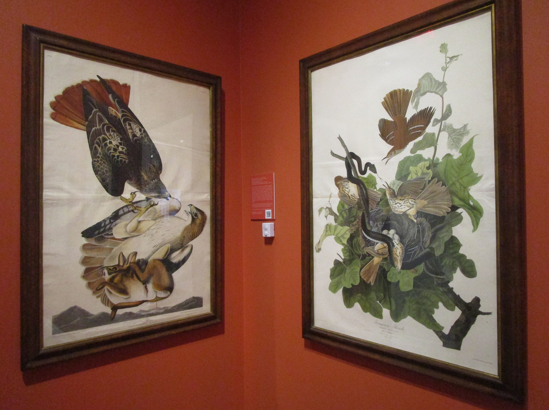 National Sporting Library & Museum-Middleburg必去景点