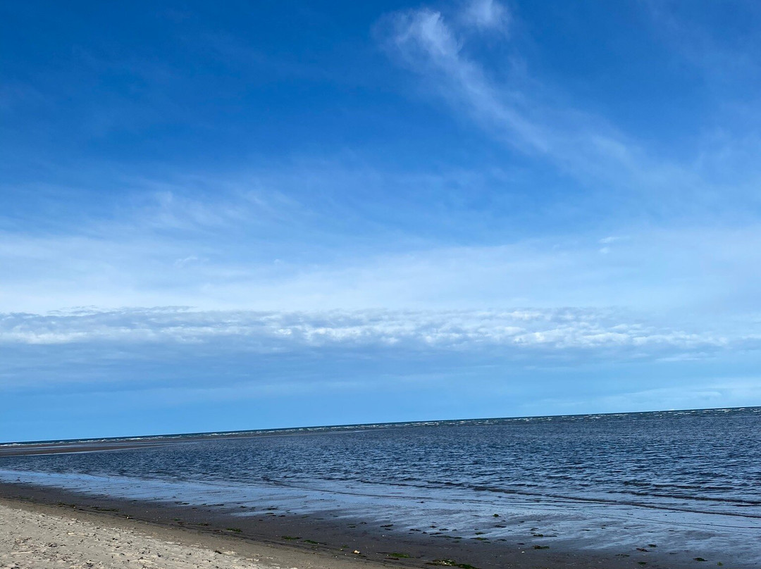 Giardino Botanico Litoraneo di Porto Caleri-罗索利纳必去景点