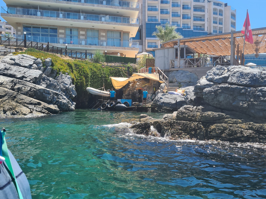 Diver Bees Dive Center-库萨达斯必去景点