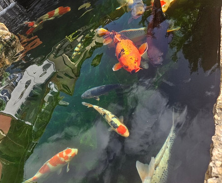 祖尔维恩斯泰吉酒店主图