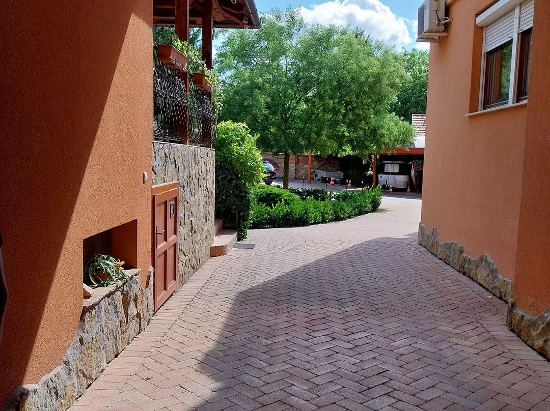 Rozmann Family Panzio & Apartmanhaz主图