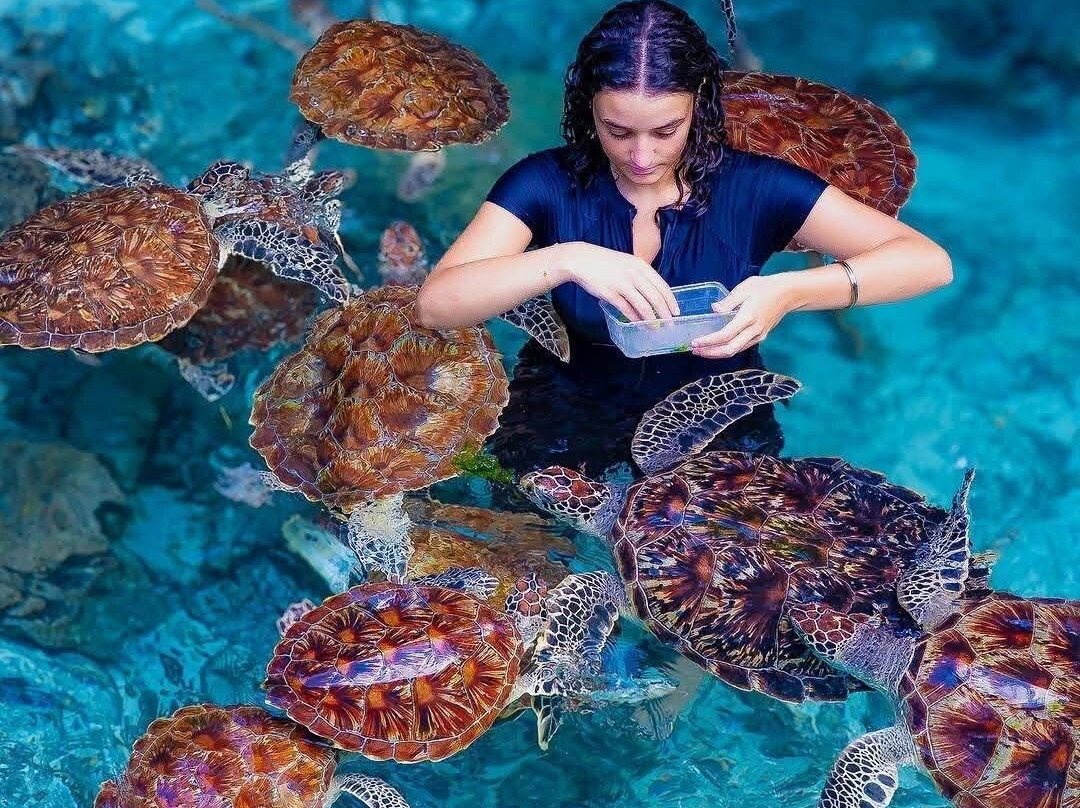 Zanzibar Alibaba Tours-桑给巴尔岛必去景点